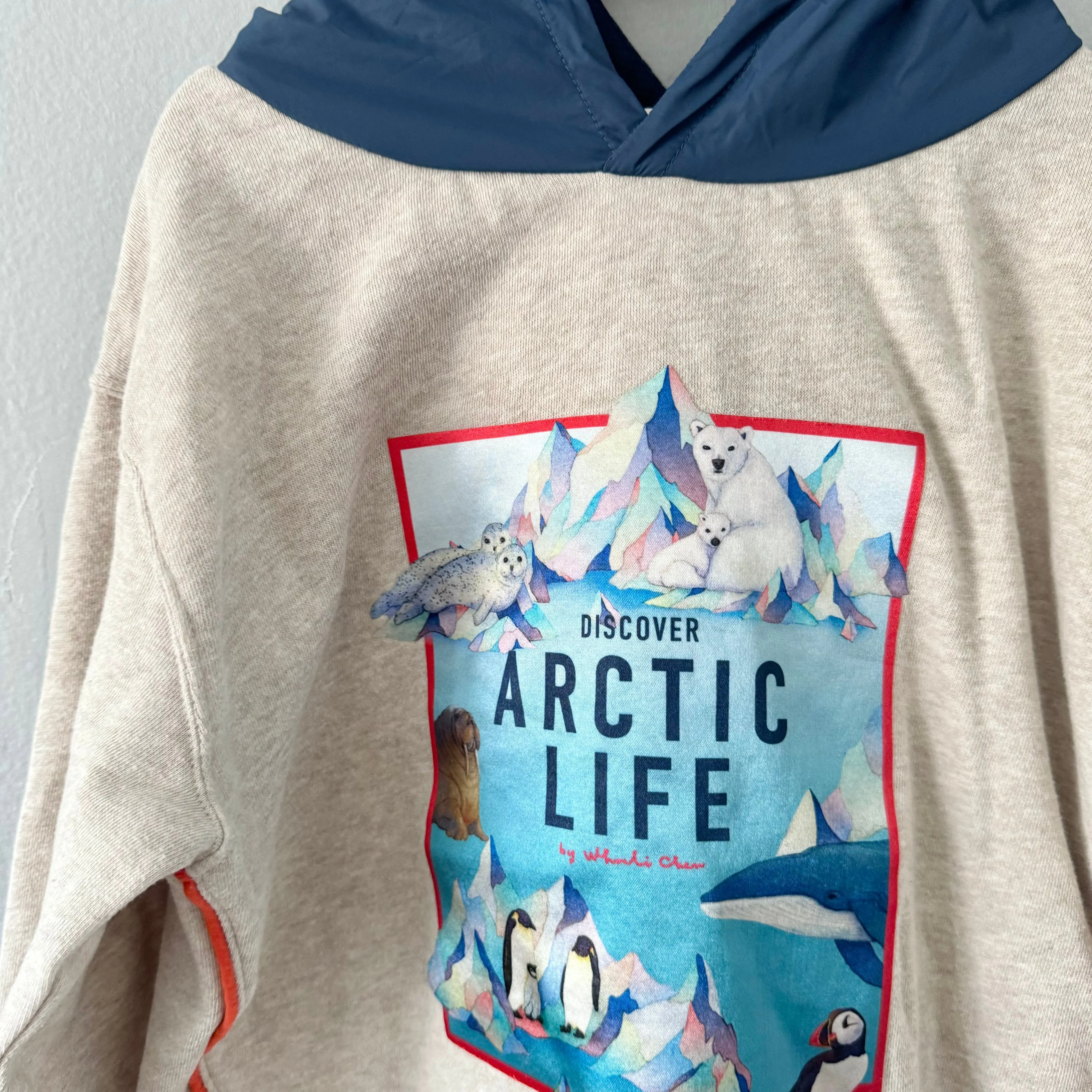 H&M x Whooli Chen / Arctic life hoodie / 8-10Y